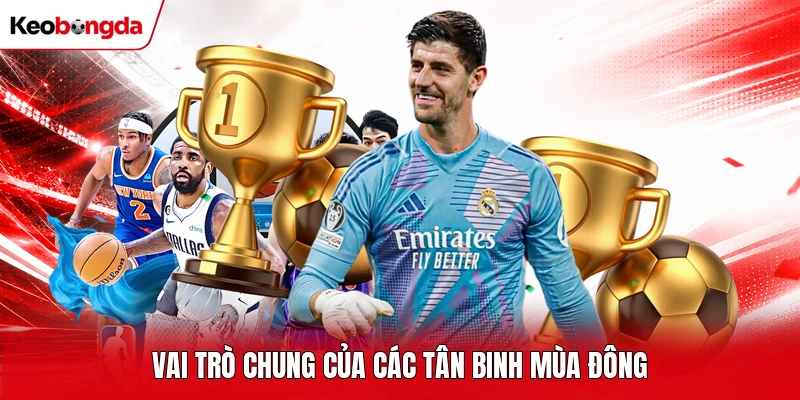 Vai trò chung của các tân binh mùa đông 